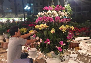 情人节 春节中国花卉在越南市场销售火爆